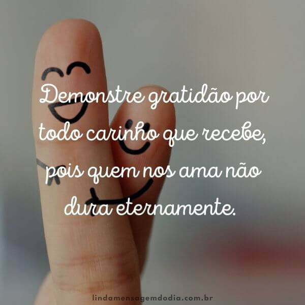 frases de gratidão a vida