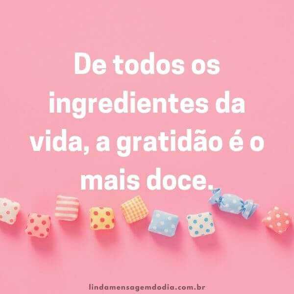 frases de gratidão a vida