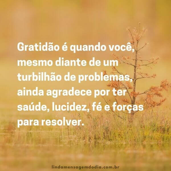 frases de gratidão a vida