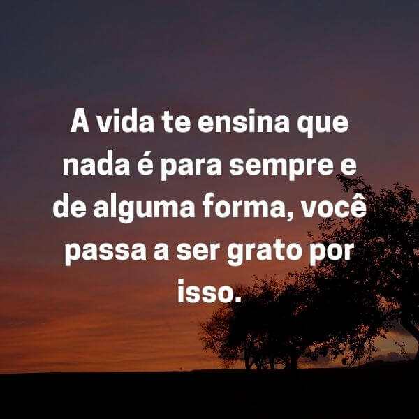 frases de gratidão a vida