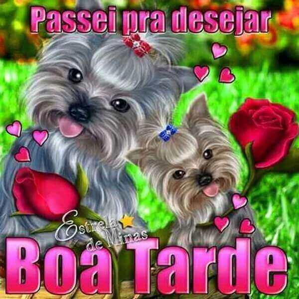 mensagens de boa tarde