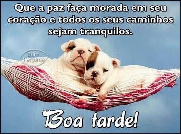 mensagens de boa tarde