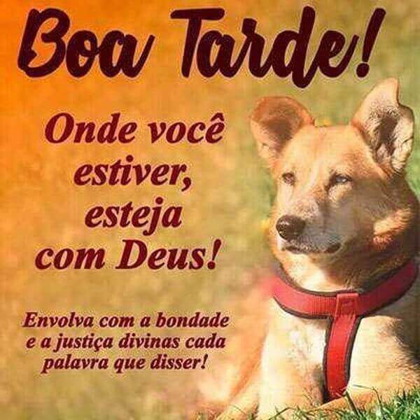 mensagens de boa tarde