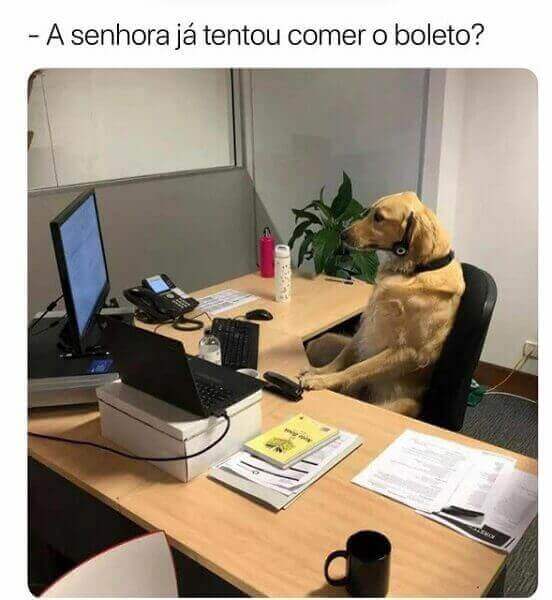 memes engraçados