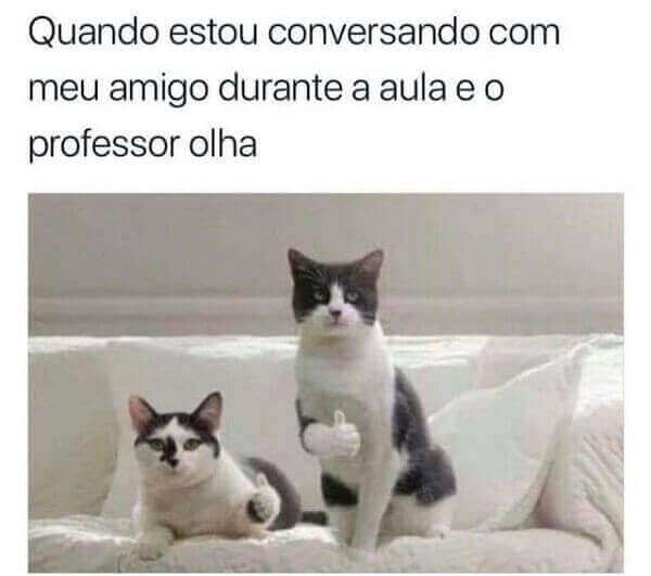 memes engraçados