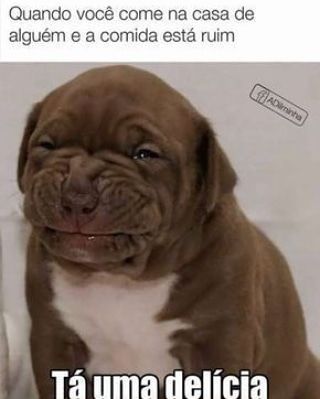 memes engraçados