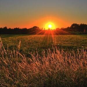 mensagem de boa tarde