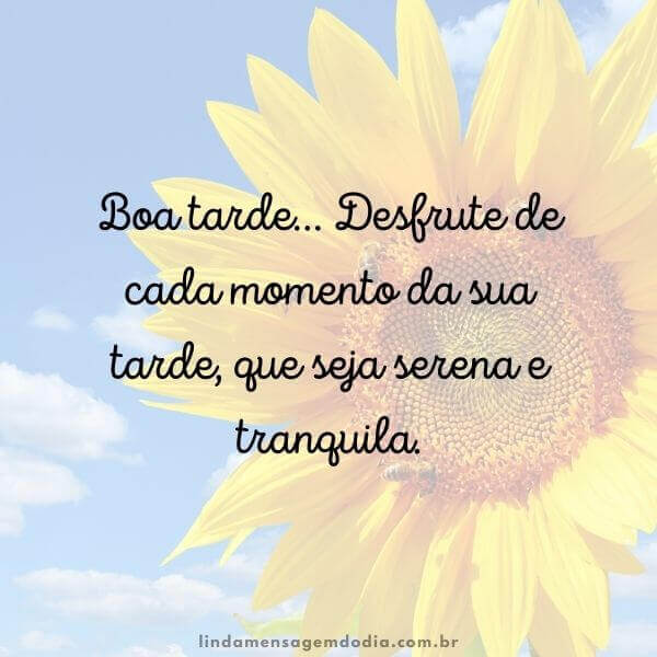 mensagem de boa tarde