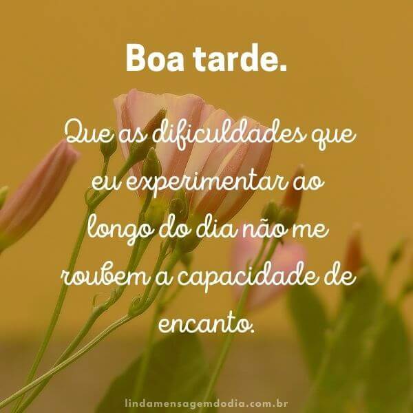 mensagens de boa tarde