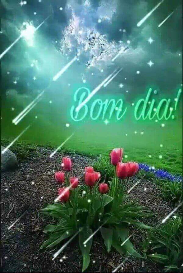 mensagens de bom dia