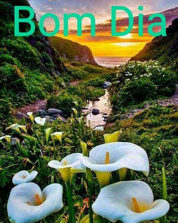 mensagens de bom dia