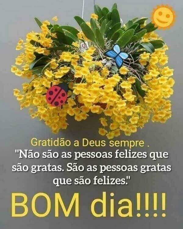 mensagens de bom dia