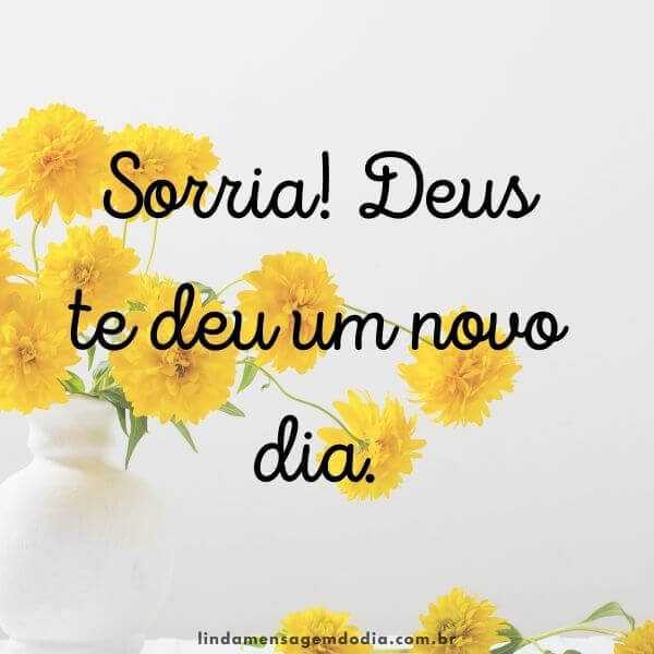 mensagens de bom dia