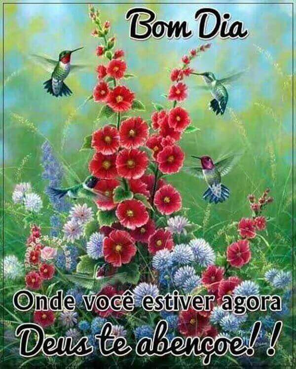 mensagens de bom dia