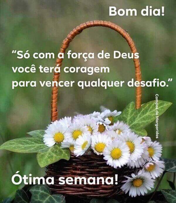 mensagens de bom dia