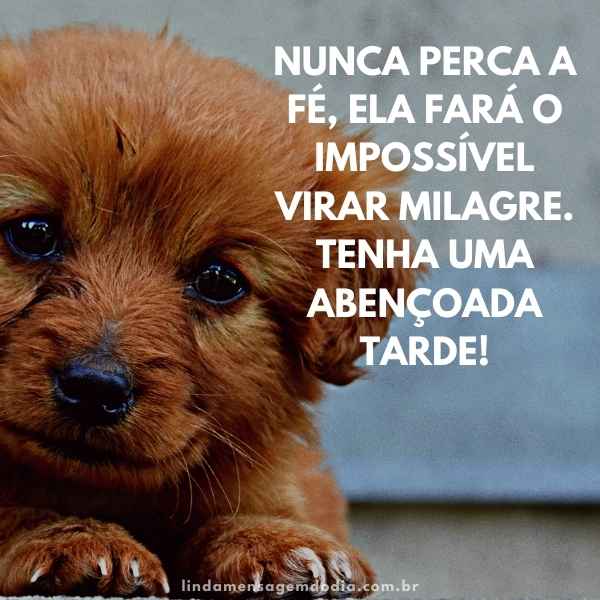 Mensagens de boa tarde