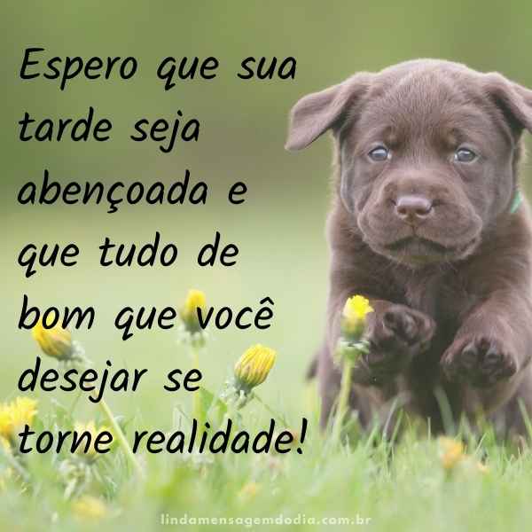 Mensagens de boa tarde