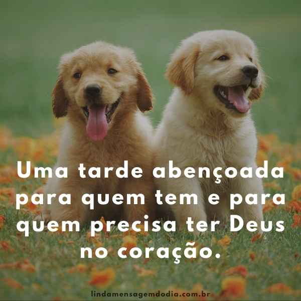 Mensagens de boa tarde