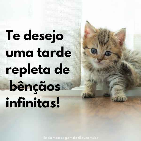 Mensagens de boa tarde