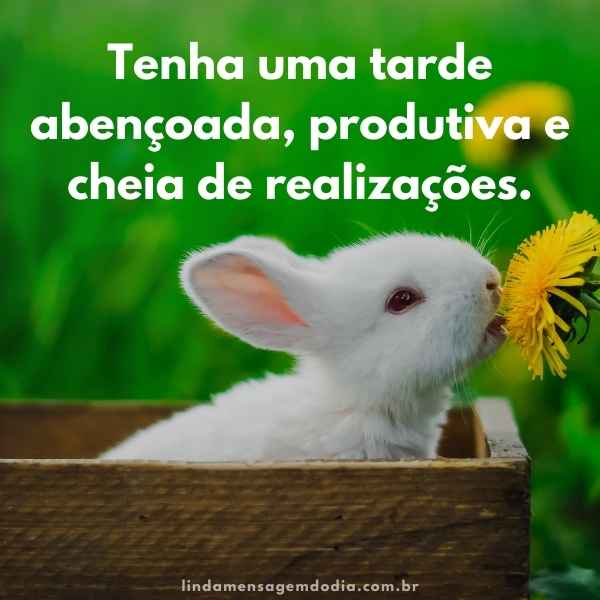 Mensagens de boa tarde