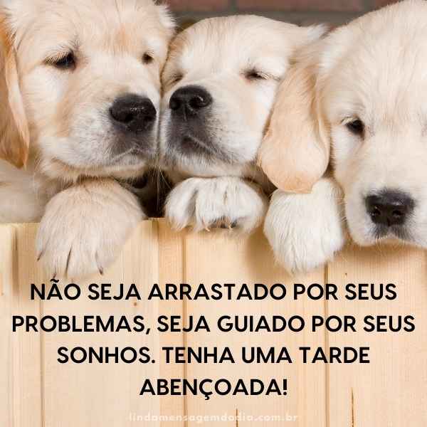 Mensagens de boa tarde