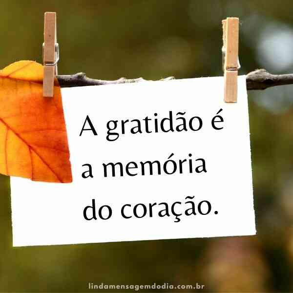 frases curtas para status