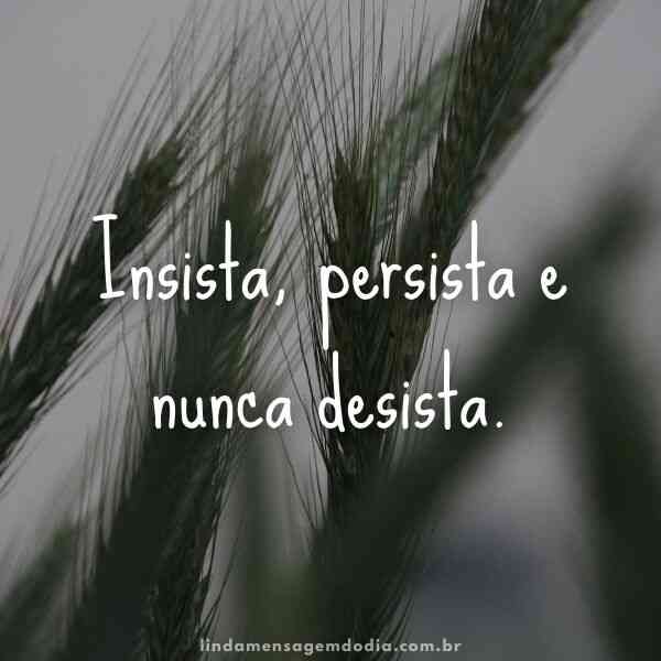 frases curtas para status