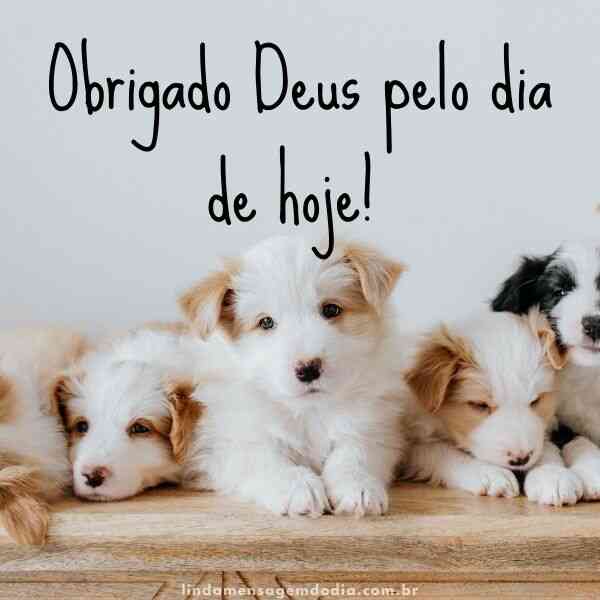 frases curtas para status