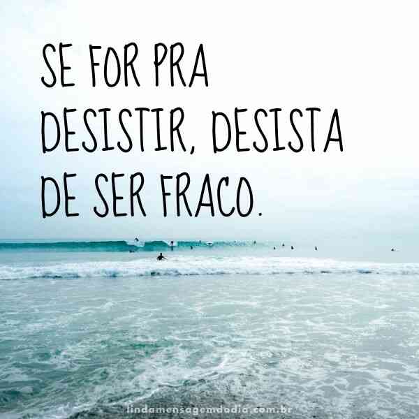 frases curtas para status