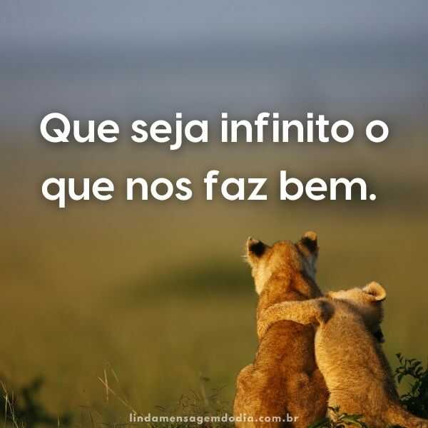 frases sobre a vida