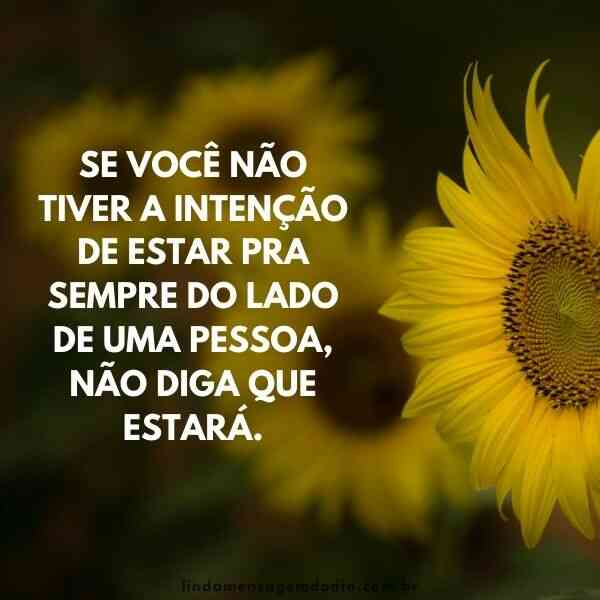 Legendas Tumblr brasil - Quando a alegria de outra pessoa for sua alegria,  você terá entendido o significado de amar. . . . . . . . #Instagram #tumblr  #legendas #frases #status #