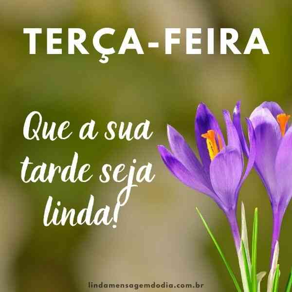 mensagens de boa tarde