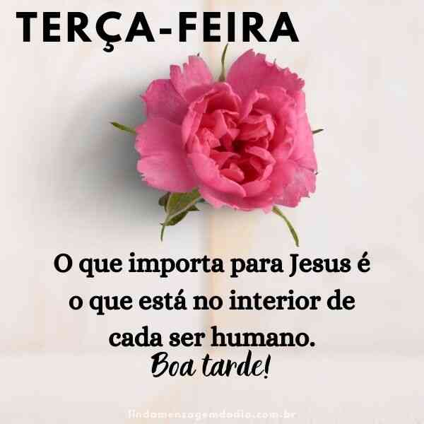 mensagens de boa tarde