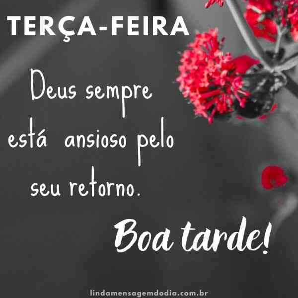 mensagens de boa tarde