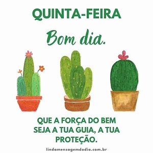 mensagens de bom dia