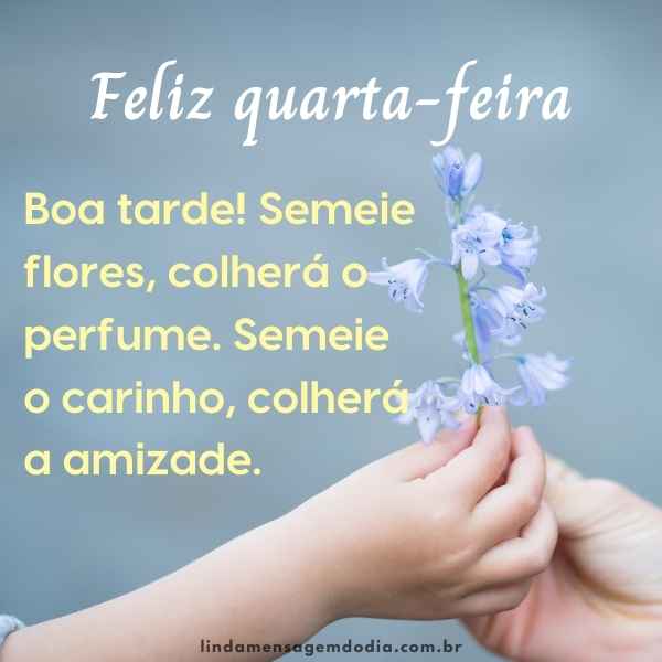 Mensagens de boa tarde