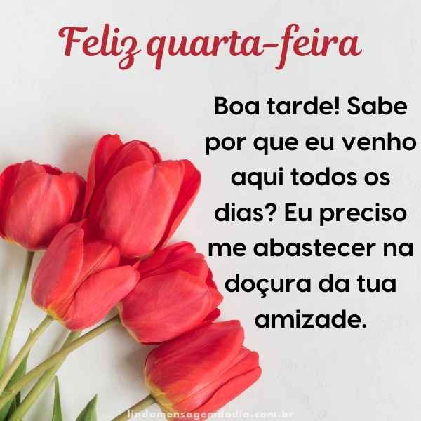 Mensagens de boa tarde