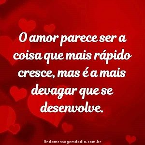 frases de amor