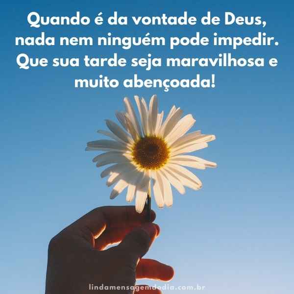 mensagens de boa tarde abeçoada